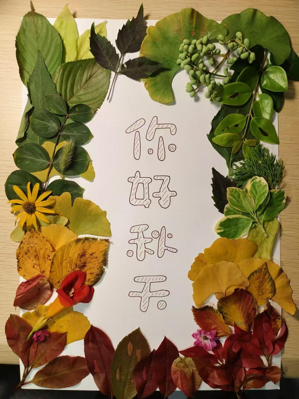 2BA8C